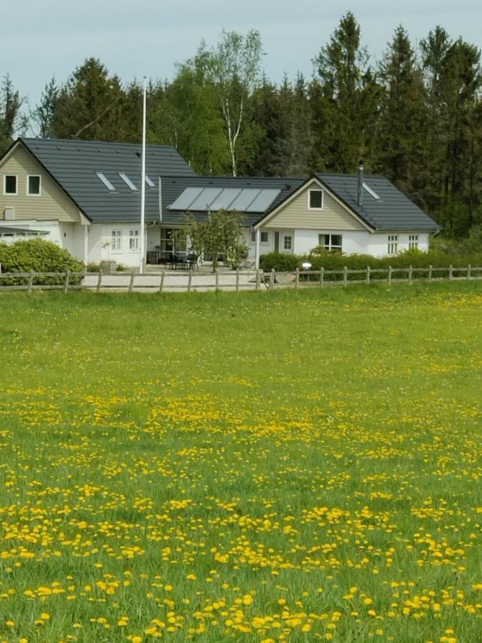Apartament Rosengard Hammel Zewnętrze zdjęcie